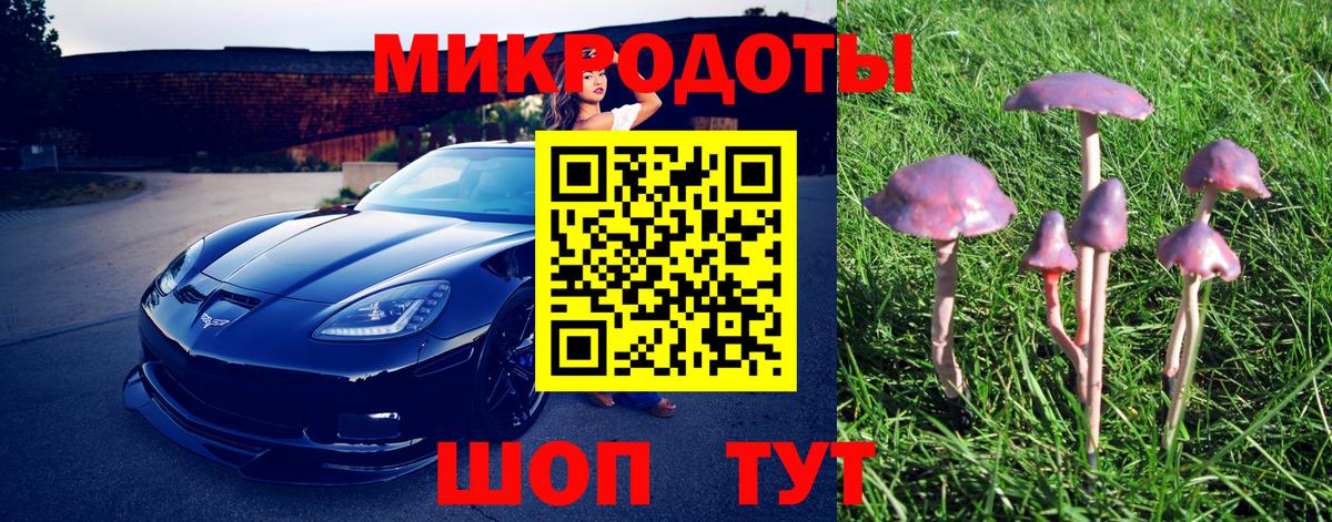 Дмитров  Псилоцибиновые грибы Psilocybe  Вход с VPN 